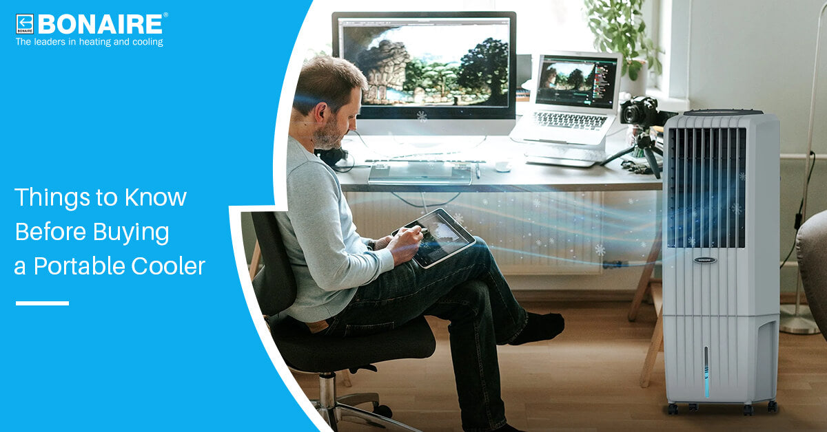 Things to Know Before Buying a Portable Cooler