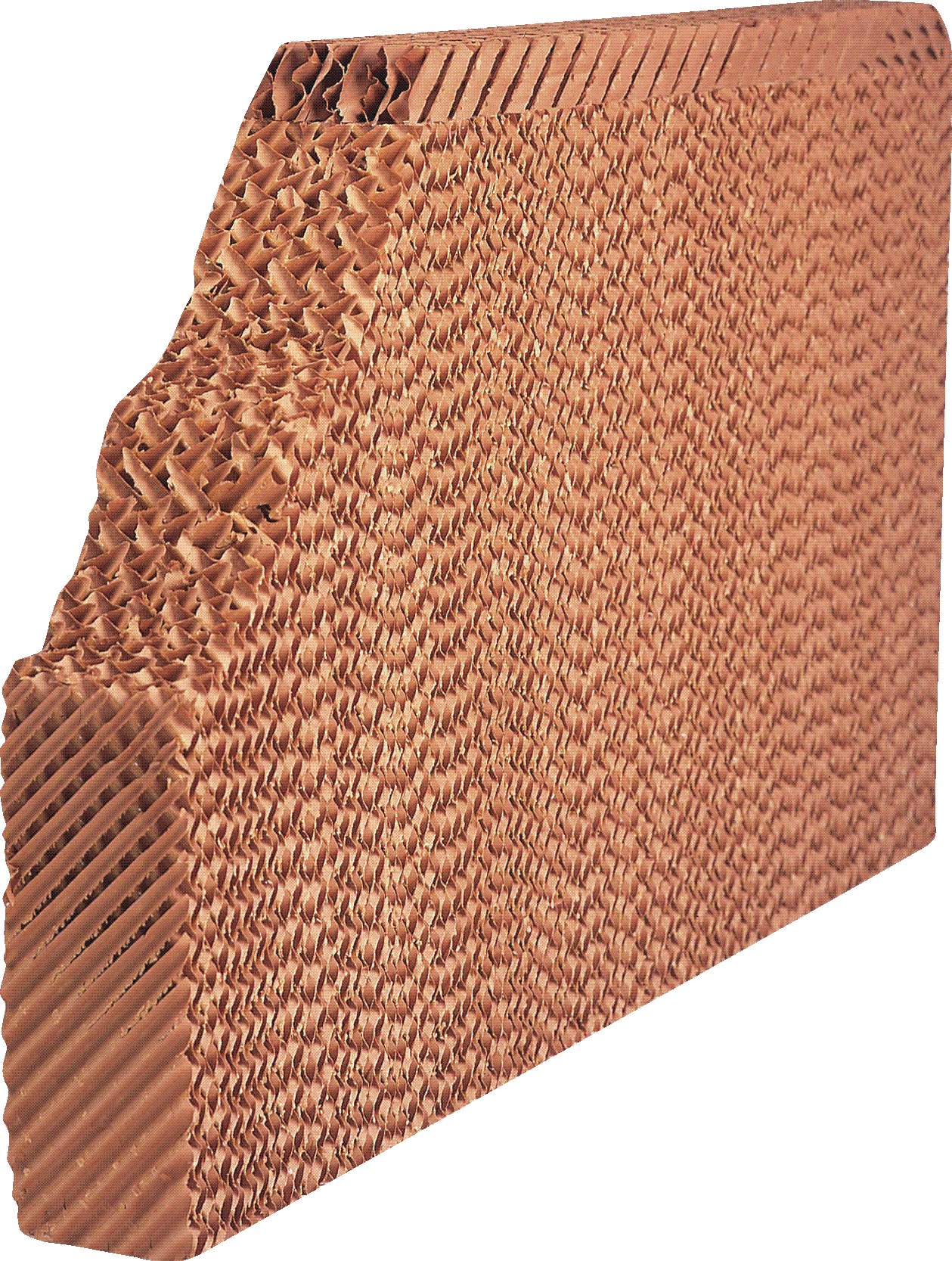 SPS6050315SP